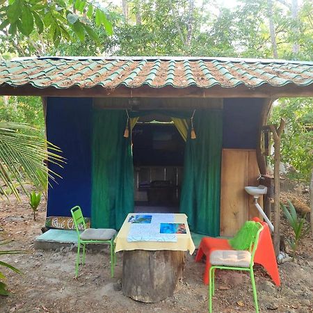 Jungle Tent 3X3, Latino Glamping & Tours, פקוארה מראה חיצוני תמונה