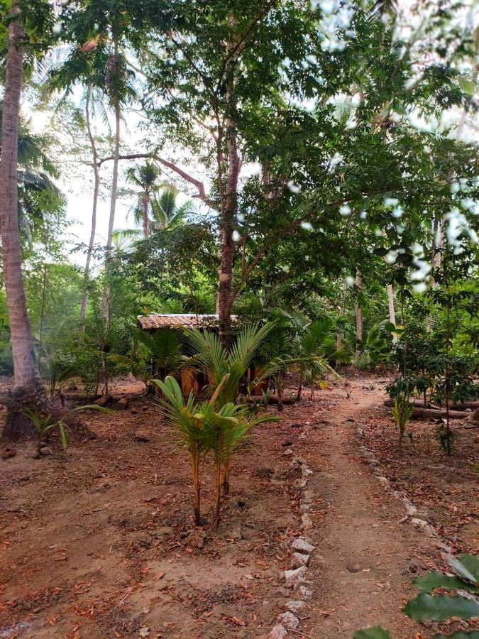 Jungle Tent 3X3, Latino Glamping & Tours, פקוארה מראה חיצוני תמונה